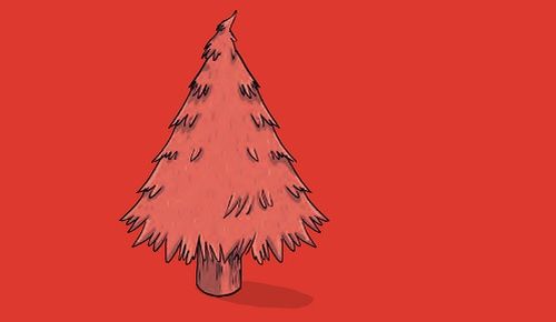 1 Una navidad de primera!