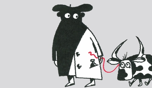 De la vaca de balcón a la vaca de bolsillo