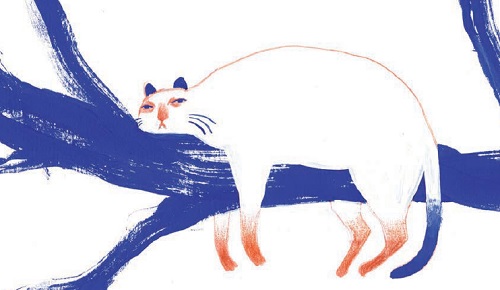 Una siesta complicada