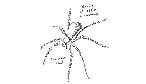 Sin noticias de la selva