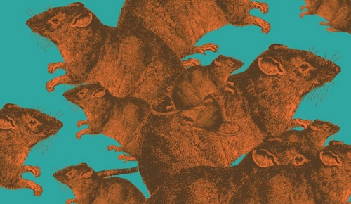 La tribu de la selva