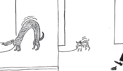 Aquel día de la caca misteriosa...