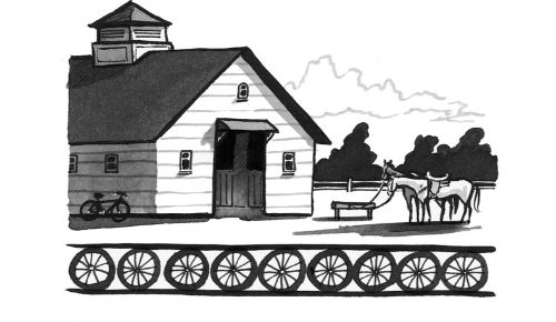 11